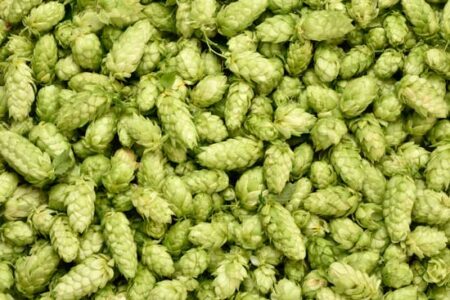 Hop-a-palooza Leftover Hops IPA Recipe